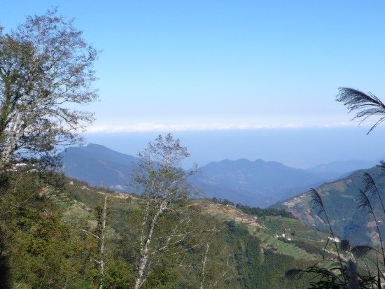 觀霧俯瞰 鵝公髻山、五指山amp; 大山背山.jpg