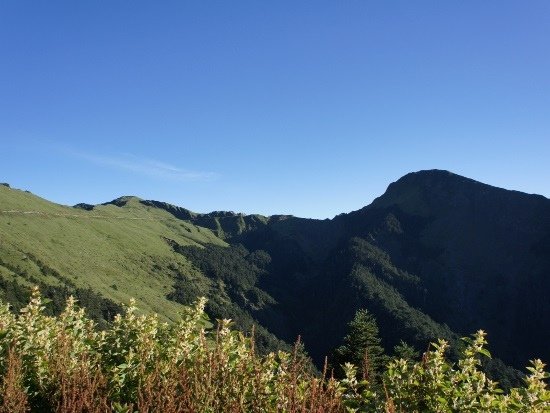 合歡山、合歡東峰.jpg