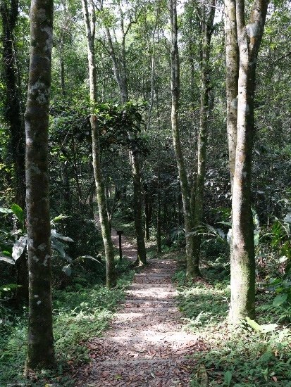 宜蘭 拳頭姆步道.jpg