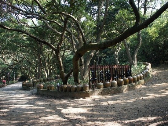 桃園．蘆竹 五酒桶山公園.jpg