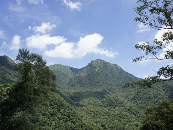 陽明山國家公園 竹子山.jpg