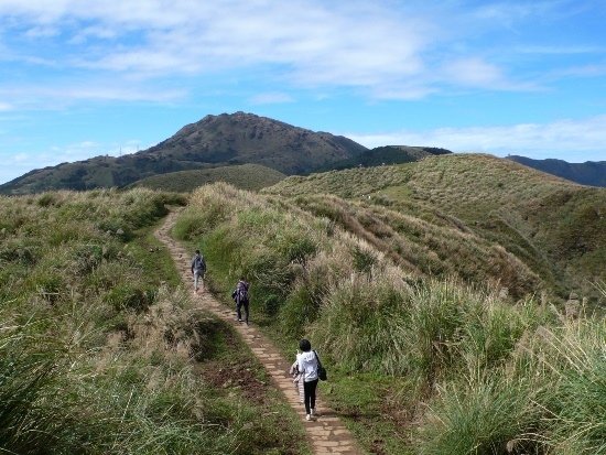 陽明山國家公園 擎天崗、石梯嶺.jpg