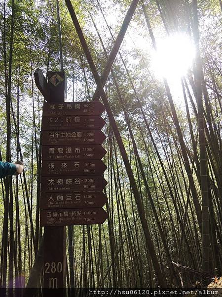 2竹山天梯 (14)
