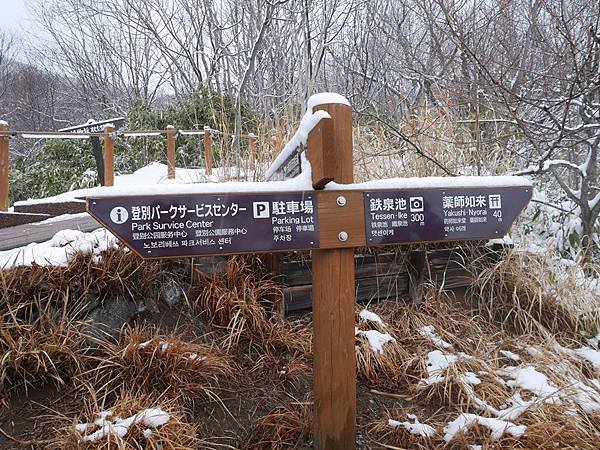 P1010262.JPG