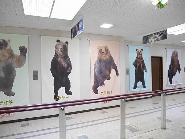 P1010291.JPG