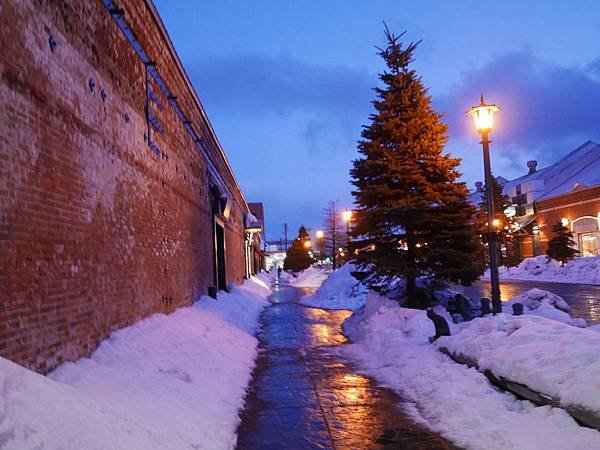 P1010560.JPG