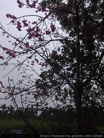 P_20140203_150229.jpg