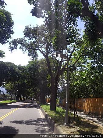 P_20140627_133655.jpg