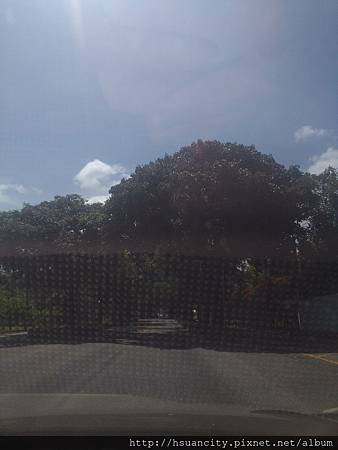 P_20140627_133832.jpg