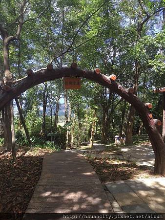 P_20140627_140723.jpg