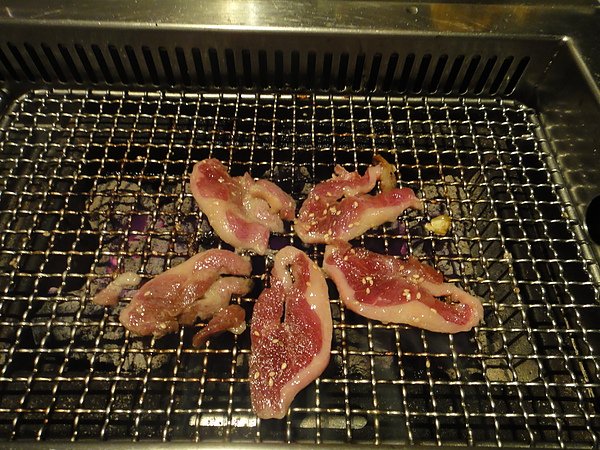 DSC00878.JPG