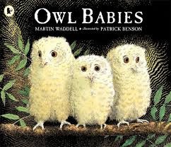 owlbabies