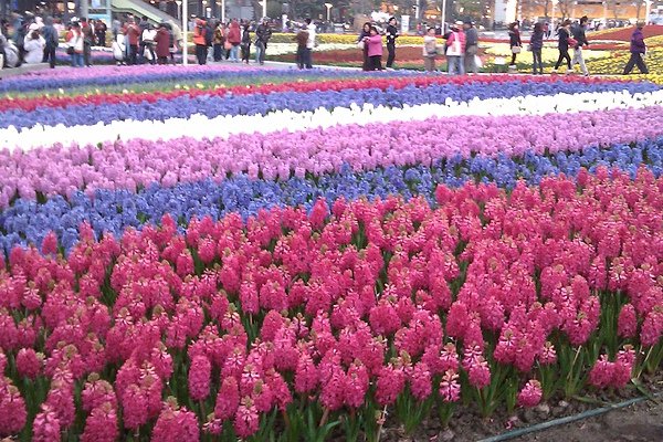 IMAG0097.jpg