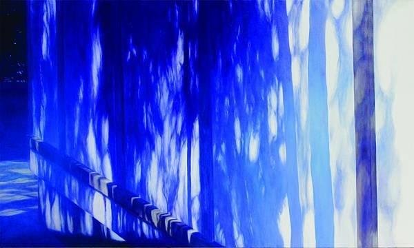 樹影.jpg