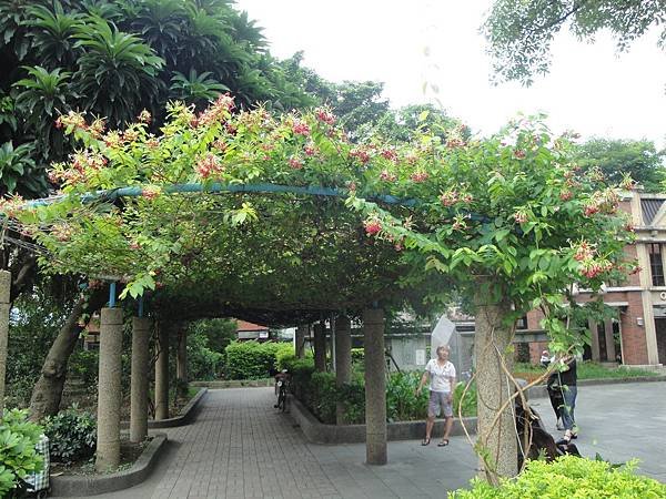 DSC08916