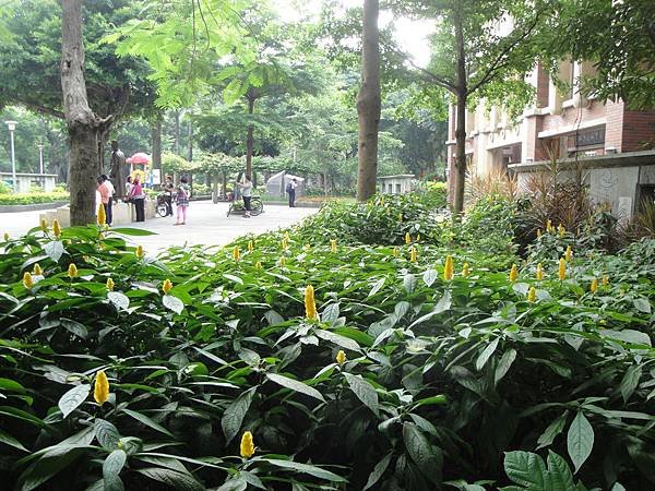 DSC08923