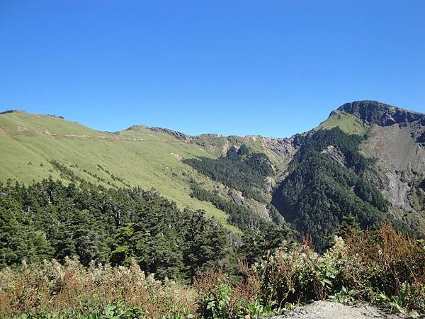 DSC01660