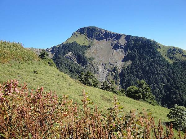 DSC01656