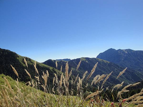 DSC01658