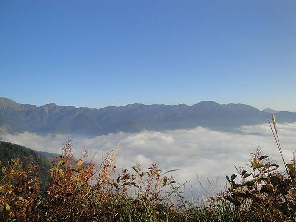 DSC01825