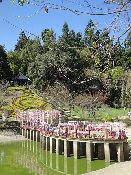 DSC01429