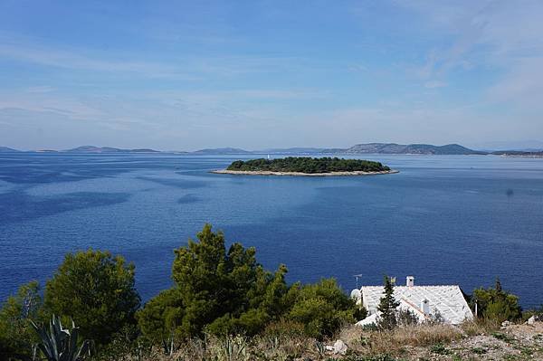 DSC09767