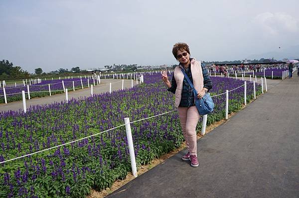 DSC01273