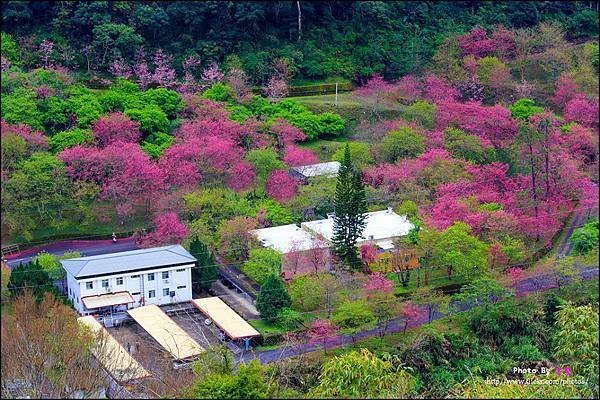 萬大電廠