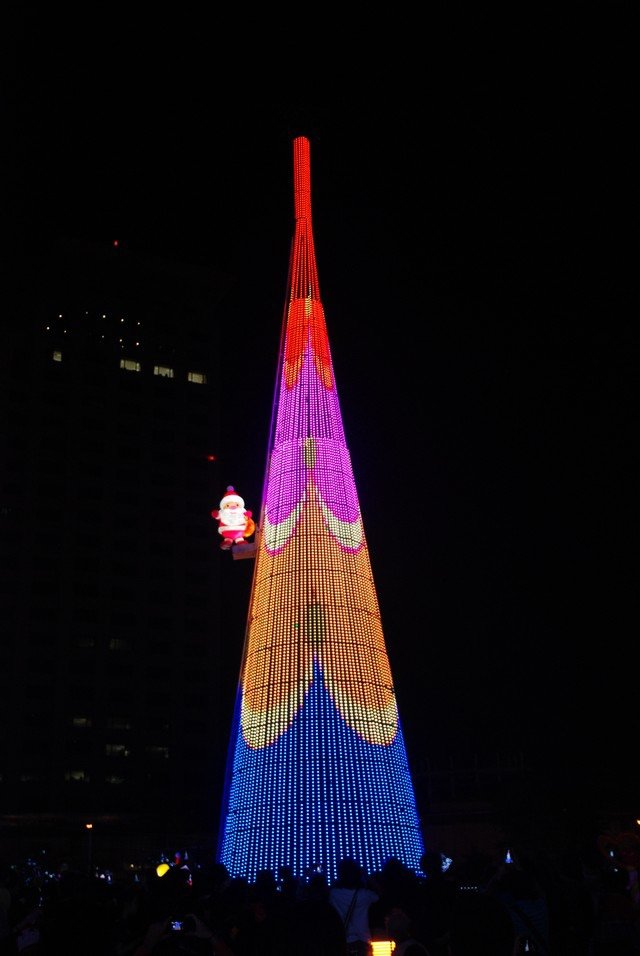 DSC_7645.jpg