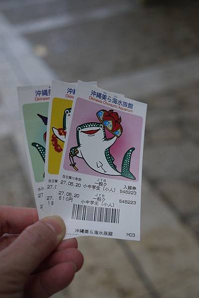 P1380407.jpg