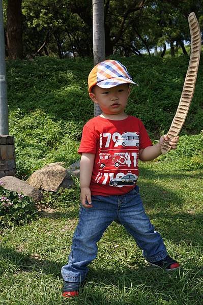 DSC06585.jpg