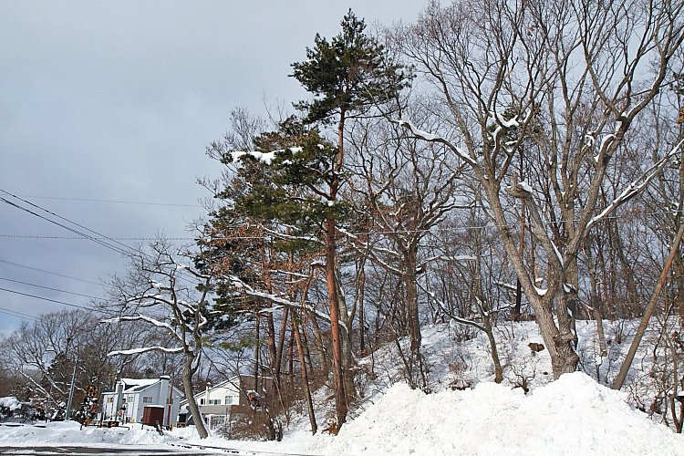 2017冬之北海道2