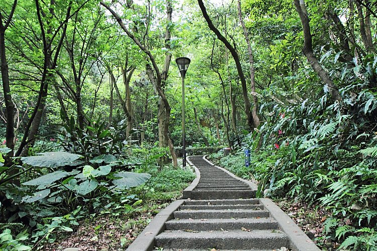 虎頭山公園3