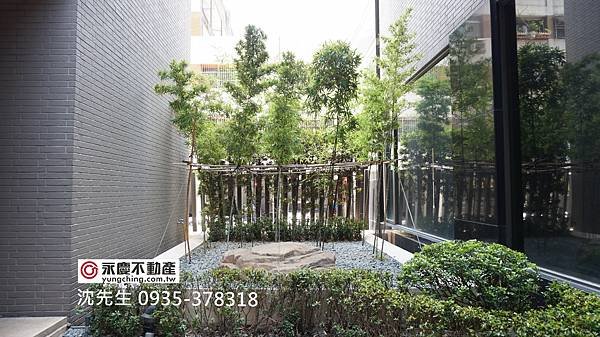 DSC02294