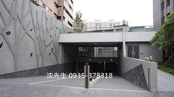 DSC05335