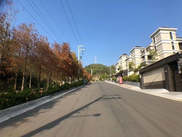 北屯百坪電梯豪墅AAA_210124_30 (31).jpg