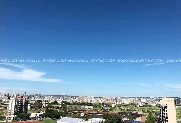 視野.jpg
