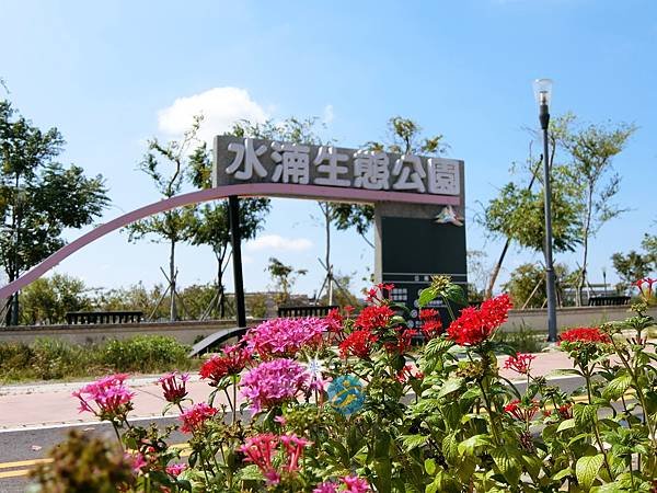 1封面CIMG5839.JPG
