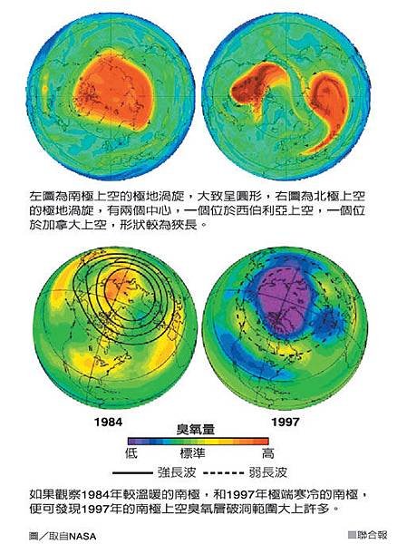 極地渦旋