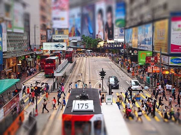 P7058523-tiltshift[1]