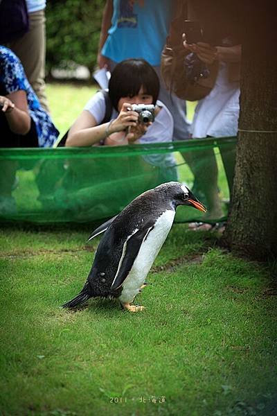 北海道-50