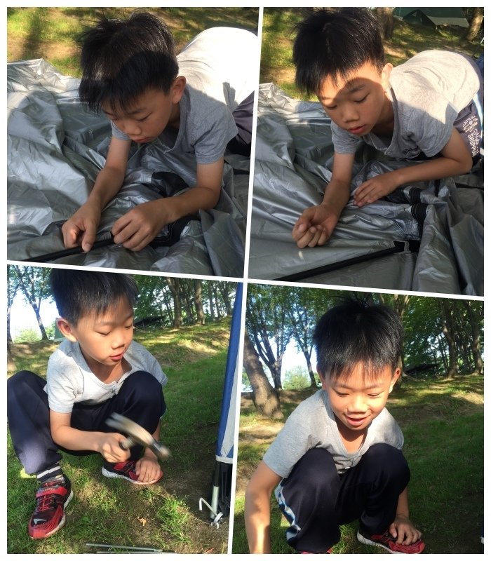 collages.jpg