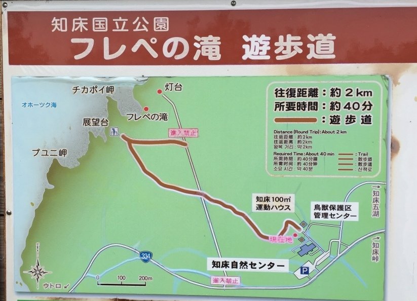 北海道｜Ｄ4-2 [知床半島] 與瑕夷鹿的約會。知床自然步道