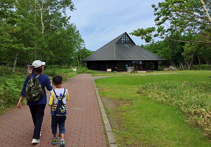 北海道｜Ｄ4-2 [知床半島] 與瑕夷鹿的約會。知床自然步道