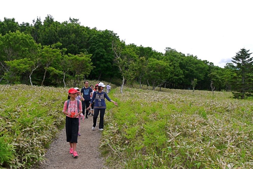 北海道｜Ｄ4-2 [知床半島] 與瑕夷鹿的約會。知床自然步道