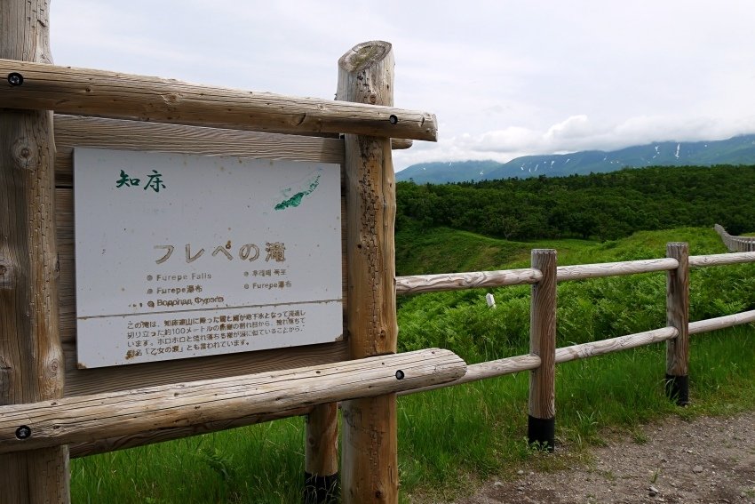 北海道｜Ｄ4-2 [知床半島] 與瑕夷鹿的約會。知床自然步道