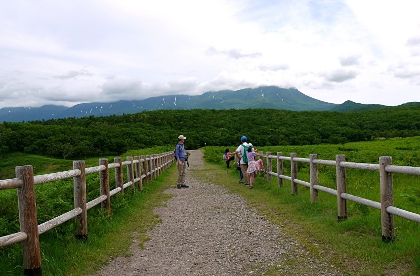 北海道｜Ｄ4-2 [知床半島] 與瑕夷鹿的約會。知床自然步道