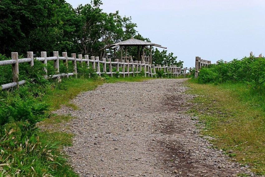 北海道｜Ｄ4-2 [知床半島] 與瑕夷鹿的約會。知床自然步道