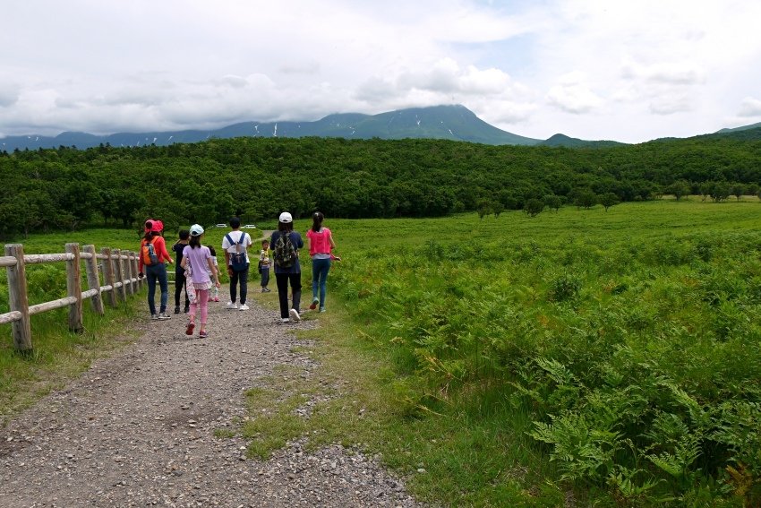 北海道｜Ｄ4-2 [知床半島] 與瑕夷鹿的約會。知床自然步道