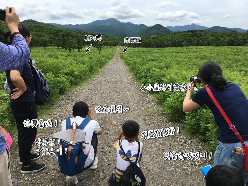 北海道｜Ｄ4-2 [知床半島] 與瑕夷鹿的約會。知床自然步道